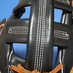 アイピーセレクト　ipselect 十河モデル