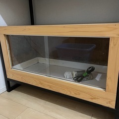 爬虫類ゲージ②  陸ガメ　トカゲ　90×45×45