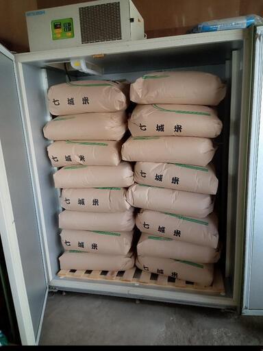美味しいお米 七城米 30キロ 美味しいお米 七城米 30キロ