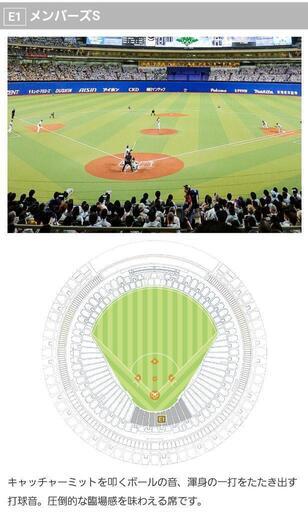 商談中】中日VS横浜プラチナシートチケット2枚 【公式通販】 商談中】中日VS横浜プラチナシートチケット2枚 【公式通販】