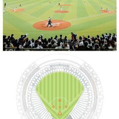 商談中】中日VS横浜プラチナシートチケット2枚