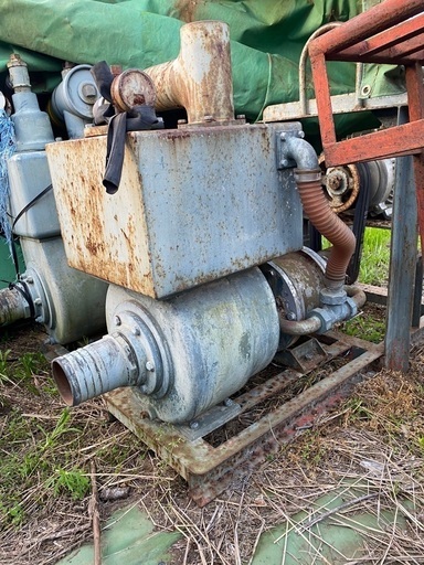 ポンプ pomp 水揚げ - その他 