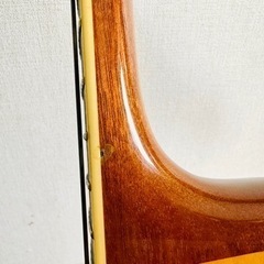 Archtop Tribute  アーチトップトリビュート AT102