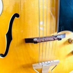 ファイヤーエクスプレスMAX PLUS  6X  ドライバー用ピンスリーブ付-Archtop Tribute  アーチトップトリビュート AT102