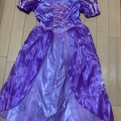 ディズニープリンセスのドレス