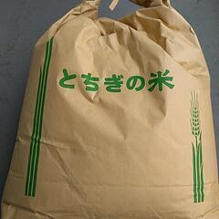 令和４年栃木県佐野市産 お米 玄米 ２０キロ ①