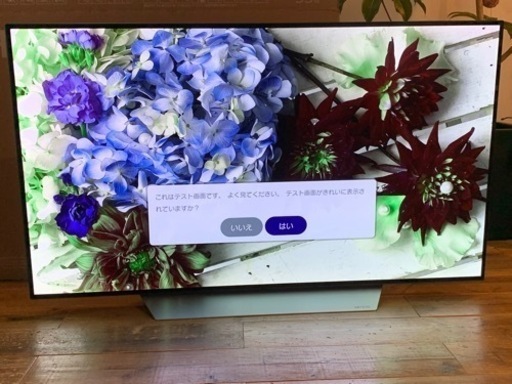 LG55型　有機ELテレビ　OLED55C7P 4K対応　ジャンク