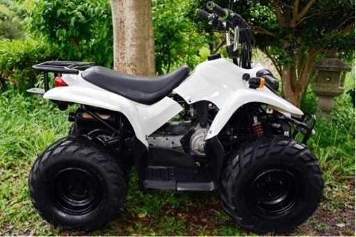 四輪バギー ユナリ(台湾)  水冷2スト 50cc 書類あり 実動車 ★動画あり★