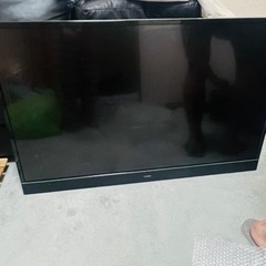 マキシゼン　テレビ