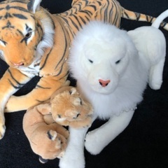 トラとホワイトライオン