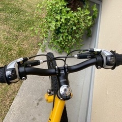 ルイガノJ22 子供用自転車　