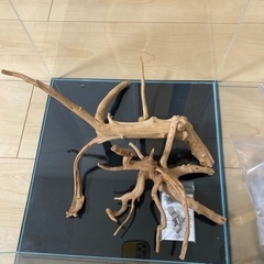 ADA キューブ30センチ　レイアウトセット