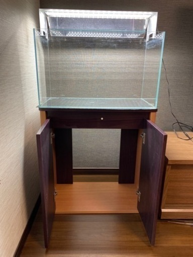 【早い者勝ち】ADA  水槽　60cm  水槽台　LEDライトなど、一式12点セット付