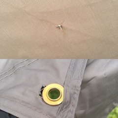 DODヤドカリテント 、グランドシート、タープポール2本