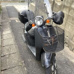 実働車 ホンダ HONDA トゥデイ AF61 外装難有