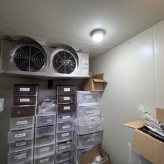 最終値下げ】プレハブ冷凍庫【備品】