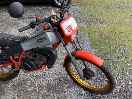 TLM50多数性能アップ | signalstationpizza.com