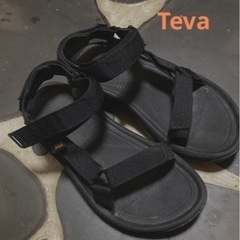 TEVA ハリケーン　24.5cm