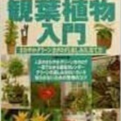 失敗しない観葉植物入門―さわやかグリーンカタログと楽しみ方、育て方