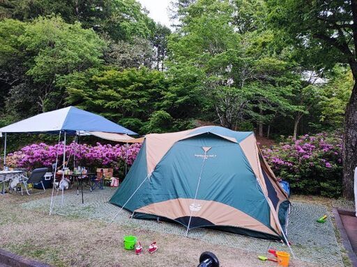 値下げ おまけ付き コールマン テント 中古 4-6人用 300EX III アルミシート2枚付き