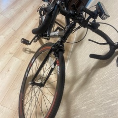 乗ったのは、一回しかも室内で保存です。