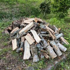 伐採木材　薪ストーブ、焚き火、キャンプ、BBQ用にどうぞ