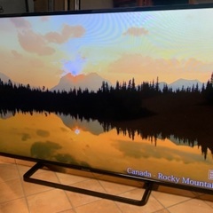 パナソニック Panasonic ビエラ 50インチ 50型 TH-50A305 2014年製