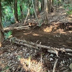 野営　ブッシュクラフト　キャンプ