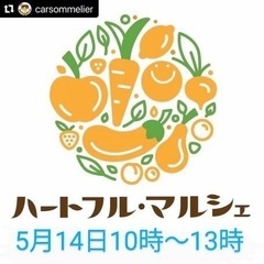 小牧ハートフルマルシェ メダカ めだか販売 すくい その他