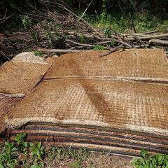 藁の古畳