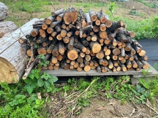 薪用」梅の販売致します！！