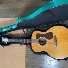 Grand Oply グランドオープリー アコギケース メタリックグリーン