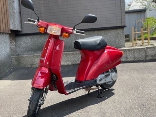 SUZUKI 蘭　50