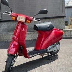 SUZUKI 蘭　50 