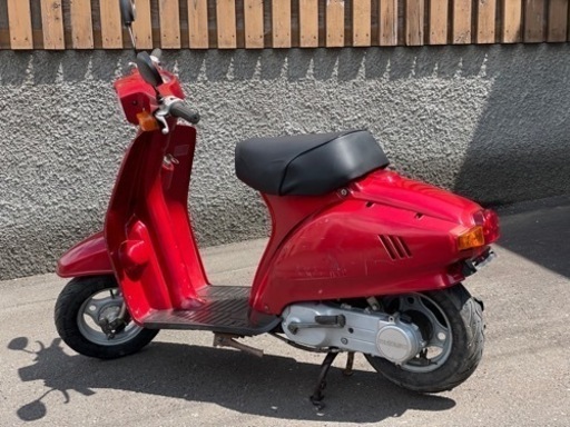 SUZUKI 蘭 50 蘭、咲きました】キャンディーズのランちゃん登場