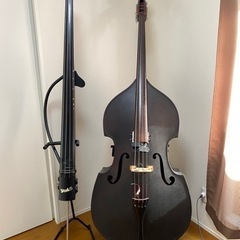 ウッドベース、アップライトベース、アンプまとめて