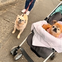 一旦募集を止めます！ - 宮崎市