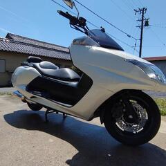 【保証つき】250ccバイク　ヤマハマグザム