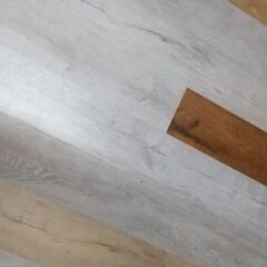 Epiphone Japan SG  Elite -大幅値下げ！建築資材　下駄履き