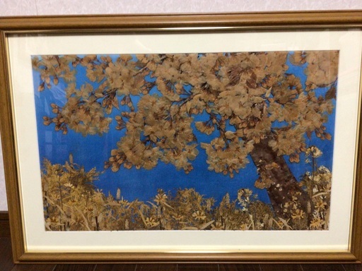 押し花額　桜(大)