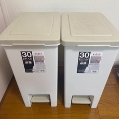 ゴミ箱　30L[＊2つまとめて¥500]