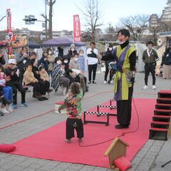 姫路大手前公園にて姫路自由市場、フリーマーケット7月,8月。開催...