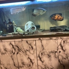 120センチ水槽水槽台セット