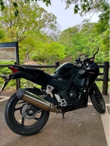 CBR250R MC41前期 2016年モデル 詳細必読 商談中