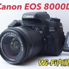 超美品ショット数少】キヤノン EOS 50D ボディ＋タムロン18-270mm F3.5 