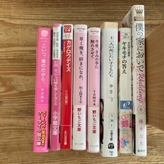 小説、漫画など　いろいろ