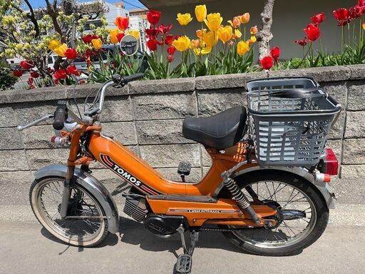 実動モペット（バイク＆自転車）★トモス★オランダ製：２ストローク、50㏄原付