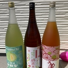 果実酒セット　メロメロメロン　るみこのかる〜い梅酒　塩梅酒