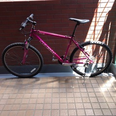 ルイガノ　マウンテンバイク　LGS FIVE