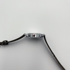 TRIWA HUMANIUM タイムフォーピース HU34D-SS080912